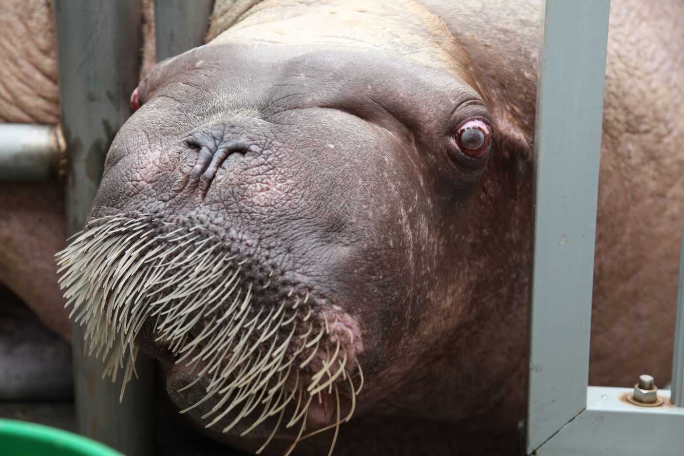 caseymuratori.com image